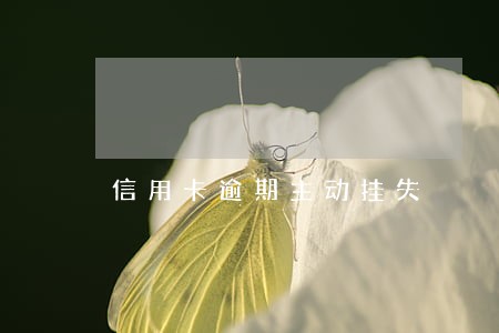 信用卡逾期主动挂失