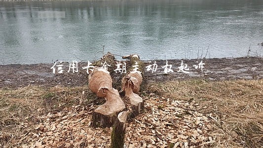 信用卡逾期主动权起诉 信用卡逾期主动权起诉