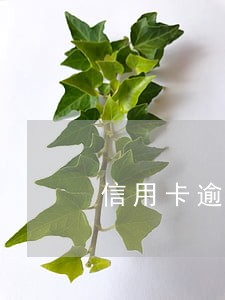 信用卡逾期主动经侦自首 信用卡逾期主动经侦自首