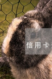 信用卡逾期主动联系协商还款 信用卡逾期主动联系协商还款