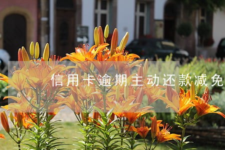 信用卡逾期主动还款减免利息 信用卡逾期主动还款减免利息