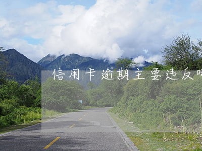 信用卡逾期主要违反哪几条法律