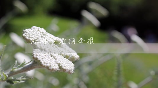 信用卡逾期举报