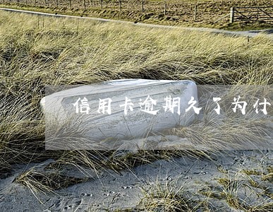 信用卡逾期久了为什么要还全额 信用卡逾期久了为什么要还全额