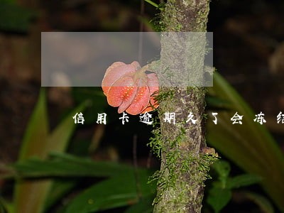 信用卡逾期久了会冻结微信吗 信用卡逾期久了会冻结微信吗