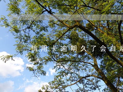 信用卡逾期久了会自动注销吗 信用卡逾期久了会自动注销吗
