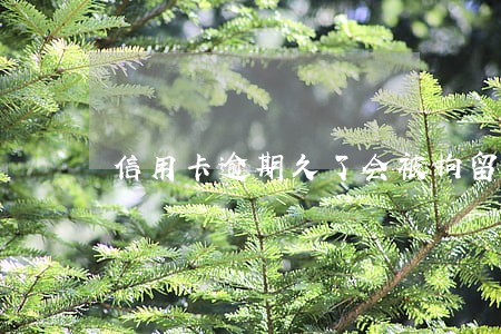 信用卡逾期久了会被拘留吗 信用卡逾期久了会被拘留吗