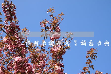 信用卡逾期久了储蓄卡会被停吗 信用卡逾期久了储蓄卡会被停吗
