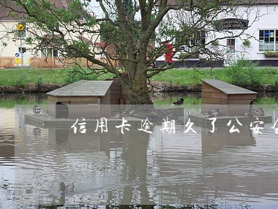 信用卡逾期久了公安会上门吗 信用卡逾期久了公安会上门吗