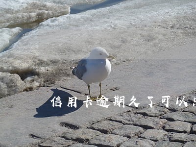 信用卡逾期久了可以只还本金吗 信用卡逾期久了可以只还本金吗