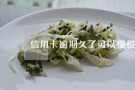 信用卡逾期久了可以慢慢还吗