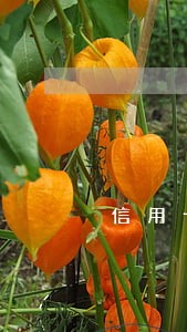 信用卡逾期久了和第三方怎么协商 信用卡逾期久了和第三方怎么协商