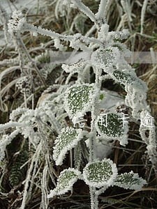 信用卡逾期久了罚息好协商么 信用卡逾期久了罚息好协商么