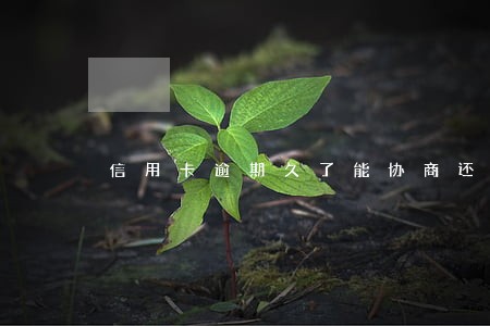 信用卡逾期久了能协商还本金吗