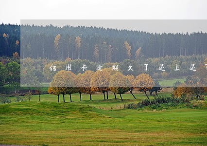 信用卡逾期久了还上还可以用吗 信用卡逾期久了还上还可以用吗
