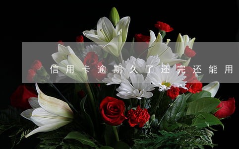 信用卡逾期久了还完还能用吗 信用卡逾期久了还完还能用吗