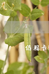 信用卡逾期久了还能办分期吗 信用卡逾期久了还能办分期吗