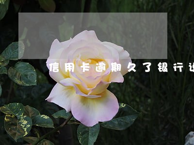 信用卡逾期久了银行说只还本金 信用卡逾期久了银行说只还本金