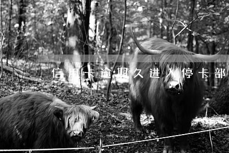 信用卡逾期久进入停卡部门 信用卡逾期久进入停卡部门