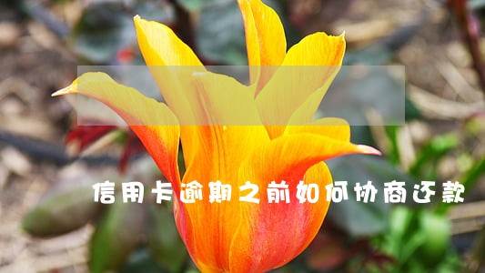 信用卡逾期之前如何协商还款 信用卡逾期之前如何协商还款