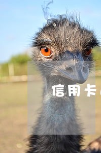 信用卡逾期之前的分期会失效吗 信用卡逾期之前的分期会失效吗
