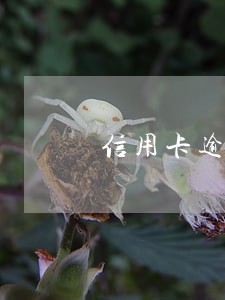 信用卡逾期之后上征信 信用卡逾期之后上征信