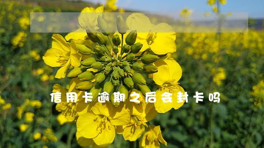 信用卡逾期之后会封卡吗 信用卡逾期之后会封卡吗