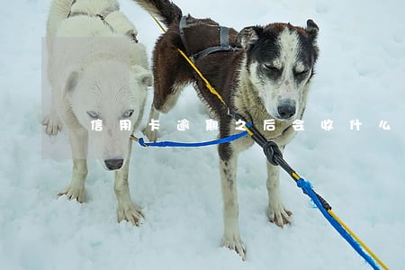 信用卡逾期之后会收什么费用 信用卡逾期之后会收什么费用