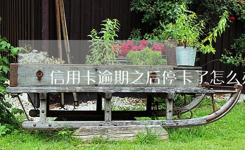 信用卡逾期之后停卡了怎么办