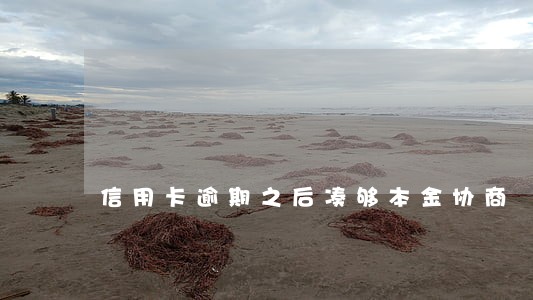 信用卡逾期之后凑够本金协商