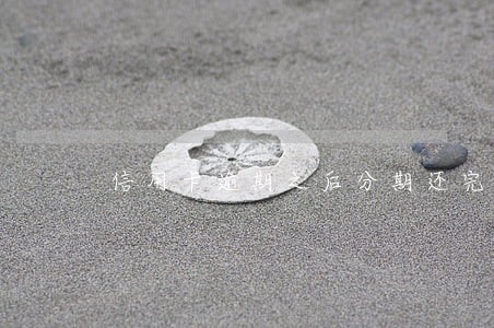 信用卡逾期之后分期还完可以吗 信用卡逾期之后分期还完可以吗