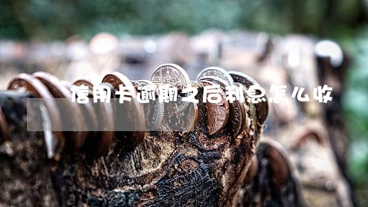 信用卡逾期之后利息怎么收 信用卡逾期之后利息怎么收