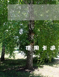 信用卡逾期之后利息违约金要还 信用卡逾期之后利息违约金要还