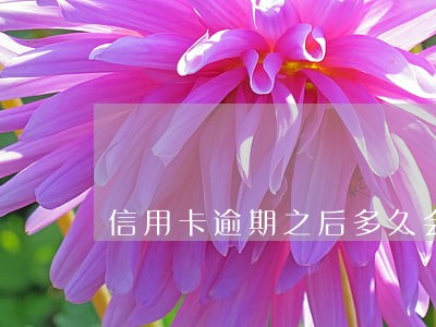 信用卡逾期之后多久会自动扣款 信用卡逾期之后多久会自动扣款