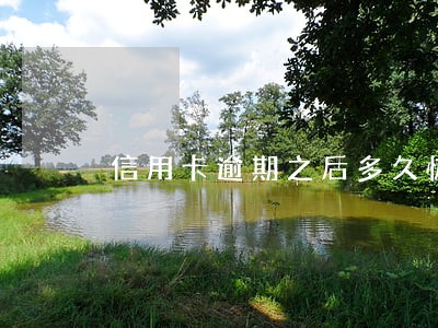 信用卡逾期之后多久恢复额度