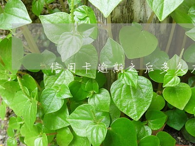 信用卡逾期之后多久才可以再办 信用卡逾期之后多久才可以再办