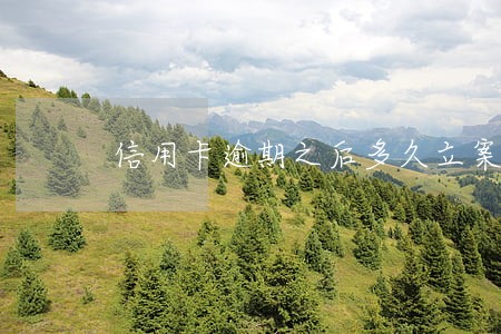 信用卡逾期之后多久立案 信用卡逾期之后多久立案