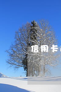 信用卡逾期之后多久能用 信用卡逾期之后多久能用