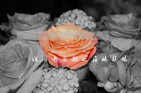 信用卡逾期之后将额吗 信用卡逾期之后将额吗