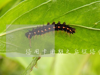 信用卡逾期之后征信会多久消除 信用卡逾期之后征信会多久消除
