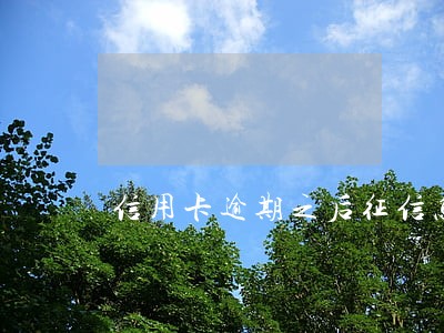 信用卡逾期之后征信怎么消除 信用卡逾期之后征信怎么消除