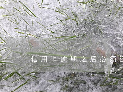 信用卡逾期之后必须还全款吗 信用卡逾期之后必须还全款吗