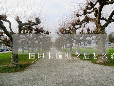 信用卡逾期之后怎么消除 信用卡逾期之后怎么消除