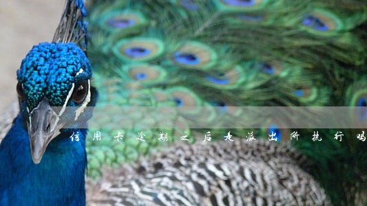 信用卡逾期之后是派出所执行吗 信用卡逾期之后是派出所执行吗