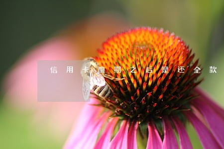 信用卡逾期之后是还全款 信用卡逾期之后是还全款