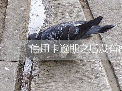 信用卡逾期之后没有额度 信用卡逾期之后没有额度