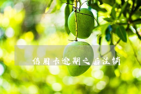 信用卡逾期之后注销 信用卡逾期之后注销