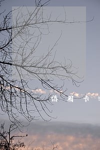 信用卡逾期之后注销吗