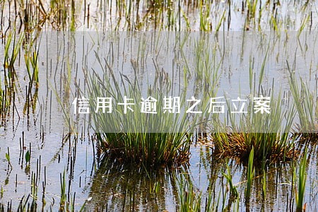 信用卡逾期之后立案 信用卡逾期之后立案