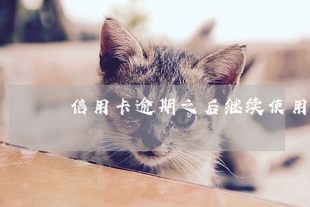 信用卡逾期之后继续使用吗